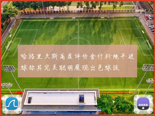 哈格里夫斯高度评价舍什科绝平进球称其完美聪明展现出色球技